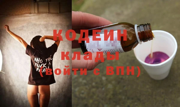 гидра Богородск
