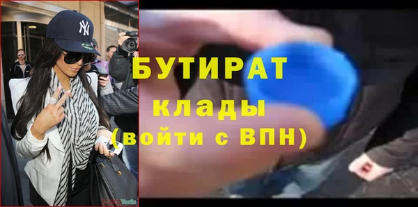 гидра Богородск