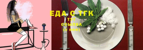 гидра Богородск