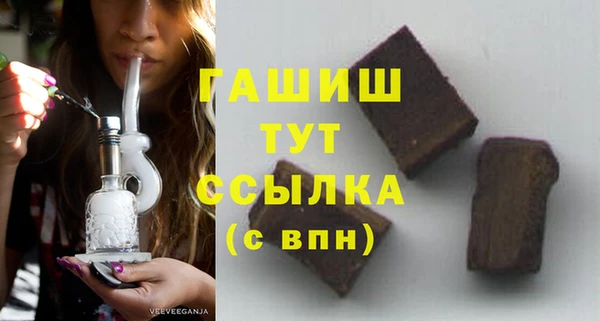 гидра Богородск