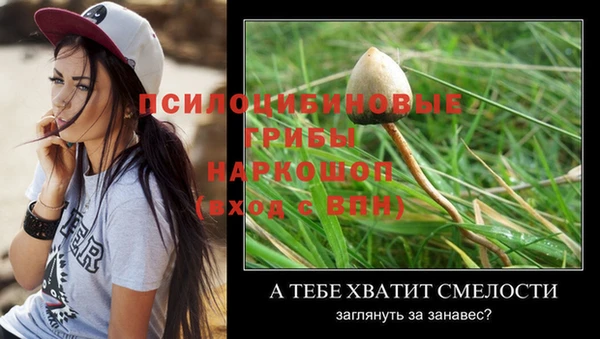 мяу мяу кристалл Богородицк
