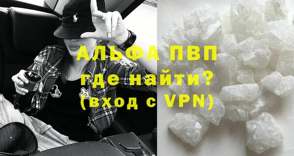 гидра Богородск